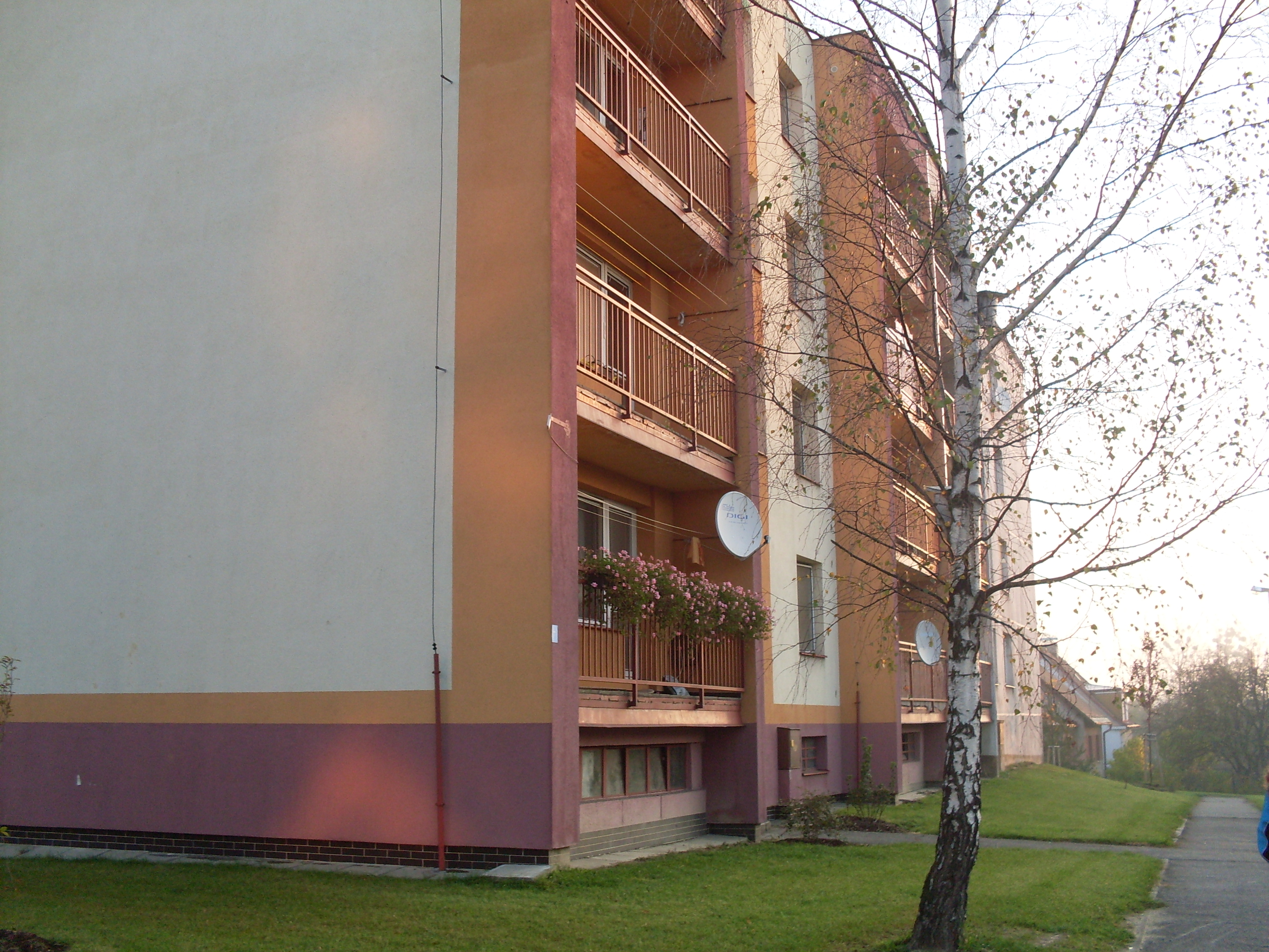 SDC10421.JPG