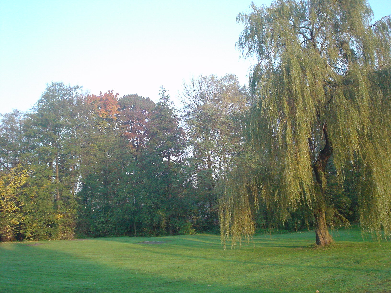 DSC00847.JPG